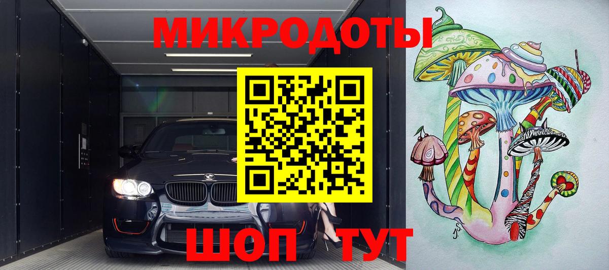 Псилоцибиновые грибы Psilocybe Кумертау